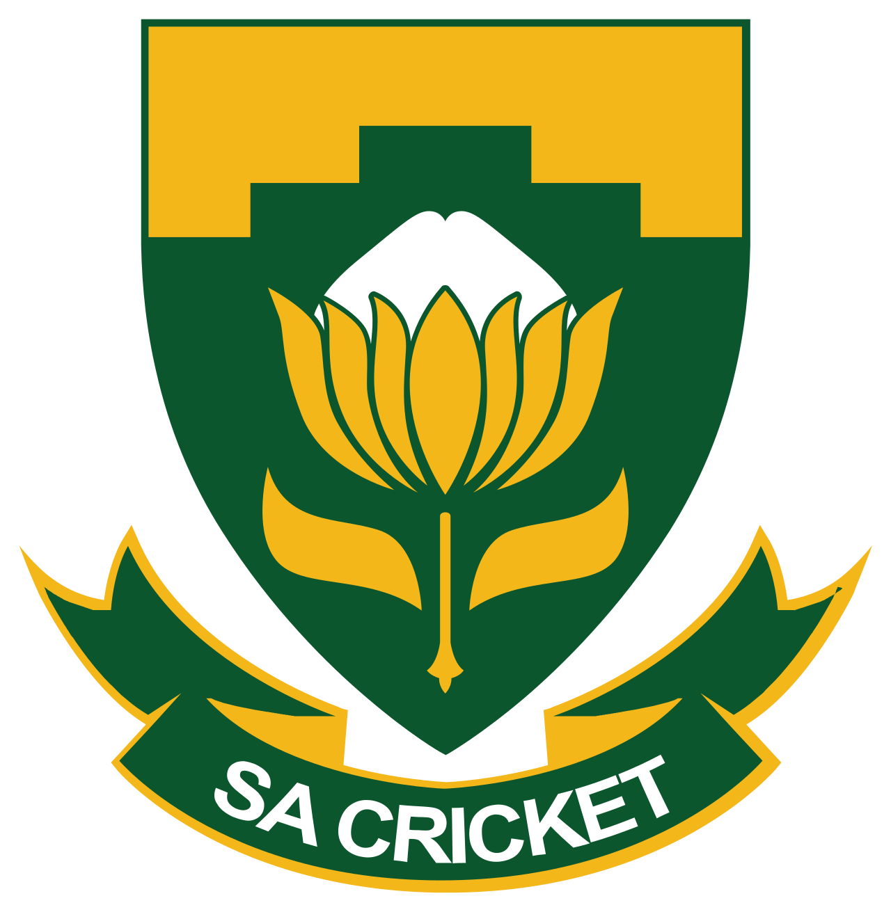 Proteas Power: South Africa's ICC Cricket Rankings & Match Performance
